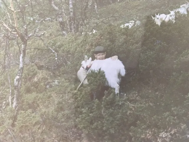 Christian på sin første seterjobb